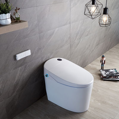Experimenta el máximo confort con un diseño moderno Eco Smart Automático Intelegente Toilet Asiento caliente y secador de aire caliente