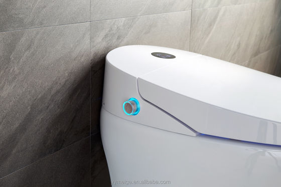 Edificio de oficinas de lujo Cisterna inferior Eco Smart Automático Inmune inteligente con temperatura ajustable y características técnicas