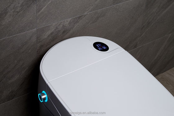 Experimenta el máximo confort con un diseño moderno Eco Smart Automático Intelegente Toilet Asiento caliente y secador de aire caliente