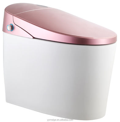 Experimenta el máximo confort con un diseño moderno Eco Smart Automático Intelegente Toilet Asiento caliente y secador de aire caliente