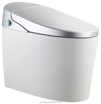 Experimenta el máximo confort con un diseño moderno Eco Smart Automático Intelegente Toilet Asiento caliente y secador de aire caliente