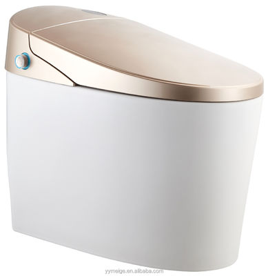 Experimenta el máximo confort con un diseño moderno Eco Smart Automático Intelegente Toilet Asiento caliente y secador de aire caliente