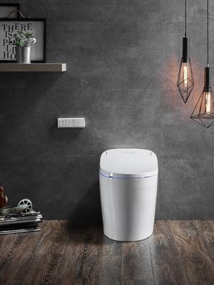 Inodoro de una pieza con lavado automático de agua caliente y seco en el modo trasero Eco Smart Inodoro automático inteligente Inodoro todo en uno OEM