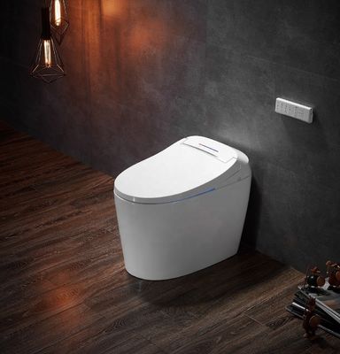 Función avanzada Desodorización automática Baño integrado Multifunción de lujo con S-trampa drenaje y control remoto