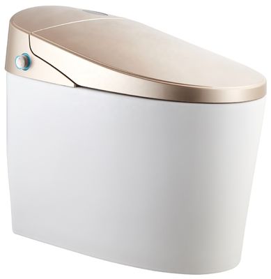 Actualizar a un diseño moderno Eco Smart Automático Indigente Toilet 4.8L Rápido de flujo de lavado Instalación fácil DIY