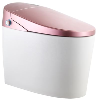 Actualizar a un diseño moderno Eco Smart Automático Indigente Toilet 4.8L Rápido de flujo de lavado Instalación fácil DIY