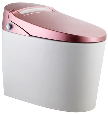 Transforme su baño de edificio de oficinas con un inodoro automático inteligente montado en el piso y un baño de lujo multifunción