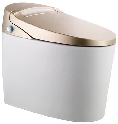 Transforme su baño de edificio de oficinas con un inodoro automático inteligente montado en el piso y un baño de lujo multifunción