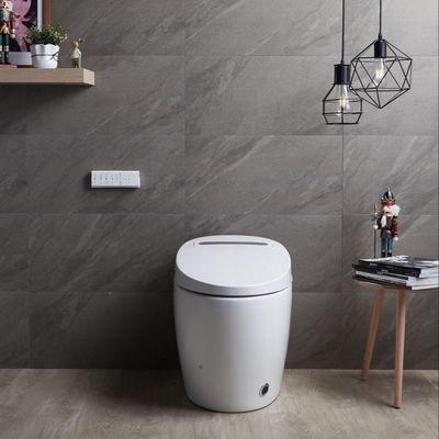 Toilet Bidet de una sola pieza con diseño automático inteligente y lujo multifunción integrado